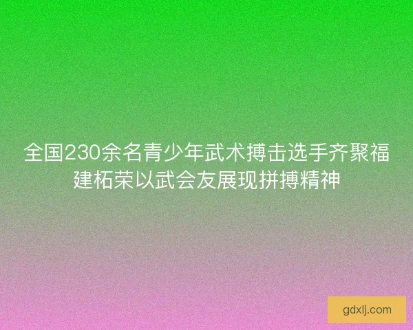 全国230余名青少年武术搏击选手齐聚福建柘荣以武会友展现拼搏精神